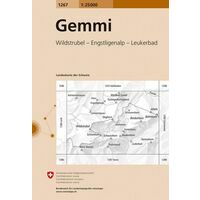 Bundesamt - Swisstopo Topografische kaart 1267 Gemmi