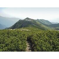 Cicerone Hiking & Trekking In The Japan Alps & Mount Fuji
