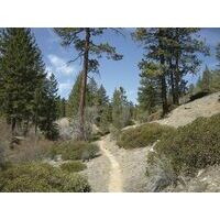 Cicerone The Pacific Crest Trail Gids