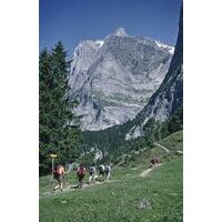 Cicerone Wandelgids Tour Of The Jungfrau Region