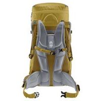 Deuter Fox 30