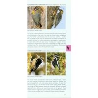 Helm Pocket Photo Guide To The Birds Of Costa Rica
