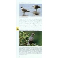 Helm Pocket Photo Guide To The Birds Of Costa Rica