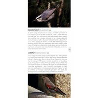 Bloomsbury Vogelgids Frankrijk - Birds Of France