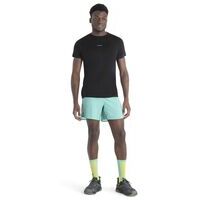 Icebreaker M Merino 125 Cool-Lite™ Speed SS Tee