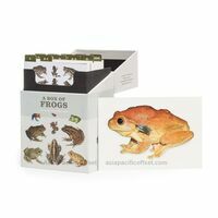 Ivy Press A Box Of Frogs - 100 Beautiful Postcards