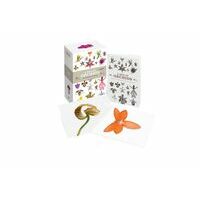 Ivy Press A Box Of Orchids - 100 Beautiful Postcards