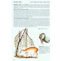 John Beaufoy Phillipps Field Guide To The Mammals Of Borneo 