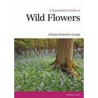 John Beaufoy Wildflowers Of Britain And Northern Europe