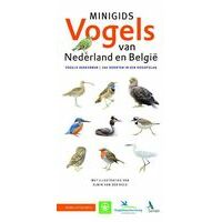 KNNV Uitgeverij Minigids Vogels Van Nederland En België