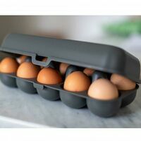 KOZIOL Eggs To Go Eierdoos 12 St Nature Ash Grey