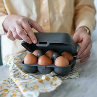 KOZIOL Eggs To Go Eierdoos 6 St Nature Ash Grey