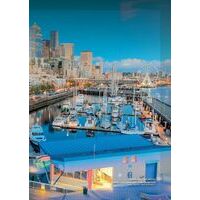 Lonely Planet Pocket Seattle Reisgids