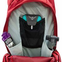 Osprey Raptor 10