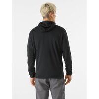 Arcteryx Delta 1/2 Zip Hoody Mens