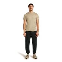 Icebreaker M Merino 150 Tech Lite SS Tee Peaceful Pass