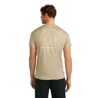 Icebreaker M Merino 150 Tech Lite SS Tee Peaceful Pass