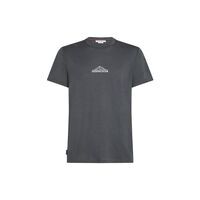 Icebreaker M Merino 150 Tech Lite Ss Tee Road To Cook