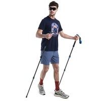 Icebreaker M Merino 150 Tech-lite T-shirt 'mountain Getaway'