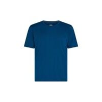 Icebreaker Mens 200 Oasis Ss Crewe