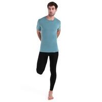 Icebreaker Mens 200 Oasis Ss Crewe
