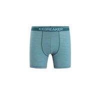 Icebreaker Mens Anatomica Boxers
