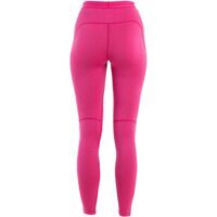 Icebreaker W 260 Zoneknit Leggings