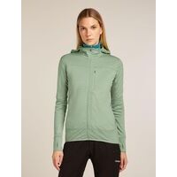 Icebreaker W Merino Blend 300 RealFleece™ Descender LS Zip Ho