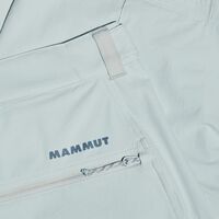 Mammut Runbold IV Shorts Women