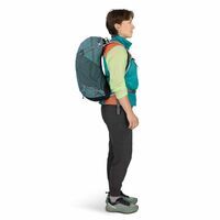 Osprey Hikelite 26