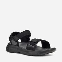 Teva M Zymic