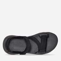 Teva M Zymic