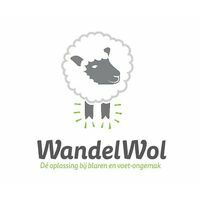 wandelwol Wandelwol 40 gram