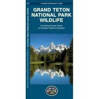 Waterford Grand Teton National Park Wildlife