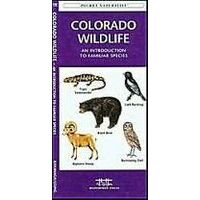 Waterford Colorado Wildlife